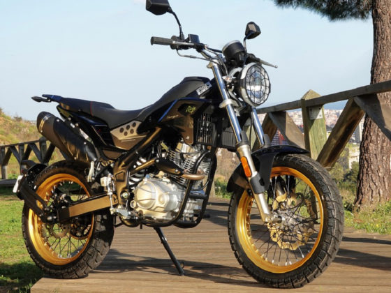 rieju scrambler 125 test