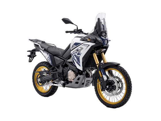 Moto Voge 800DS Rally